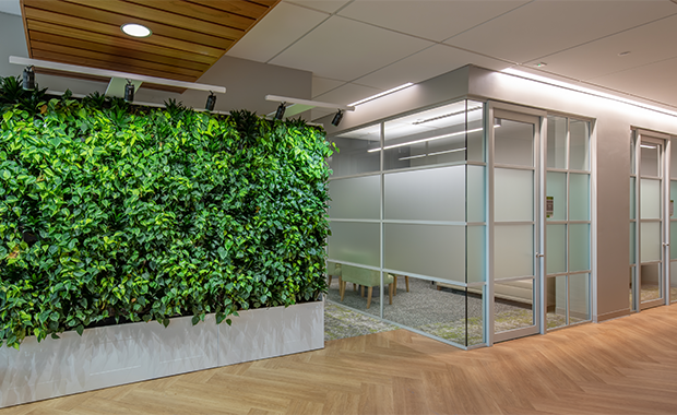 Featured image showing a living wall at a modern hospital built for patients with mild cognitive impairment